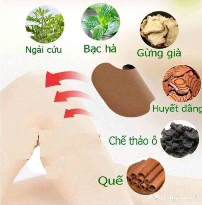 📦 COMBO 10 HỘP → TẶNG 1 HỘP 🌿 DÁN VAI GÁY NGẢI CỨU – GIẢM ĐAU, NHỨC MỎI 🌿  